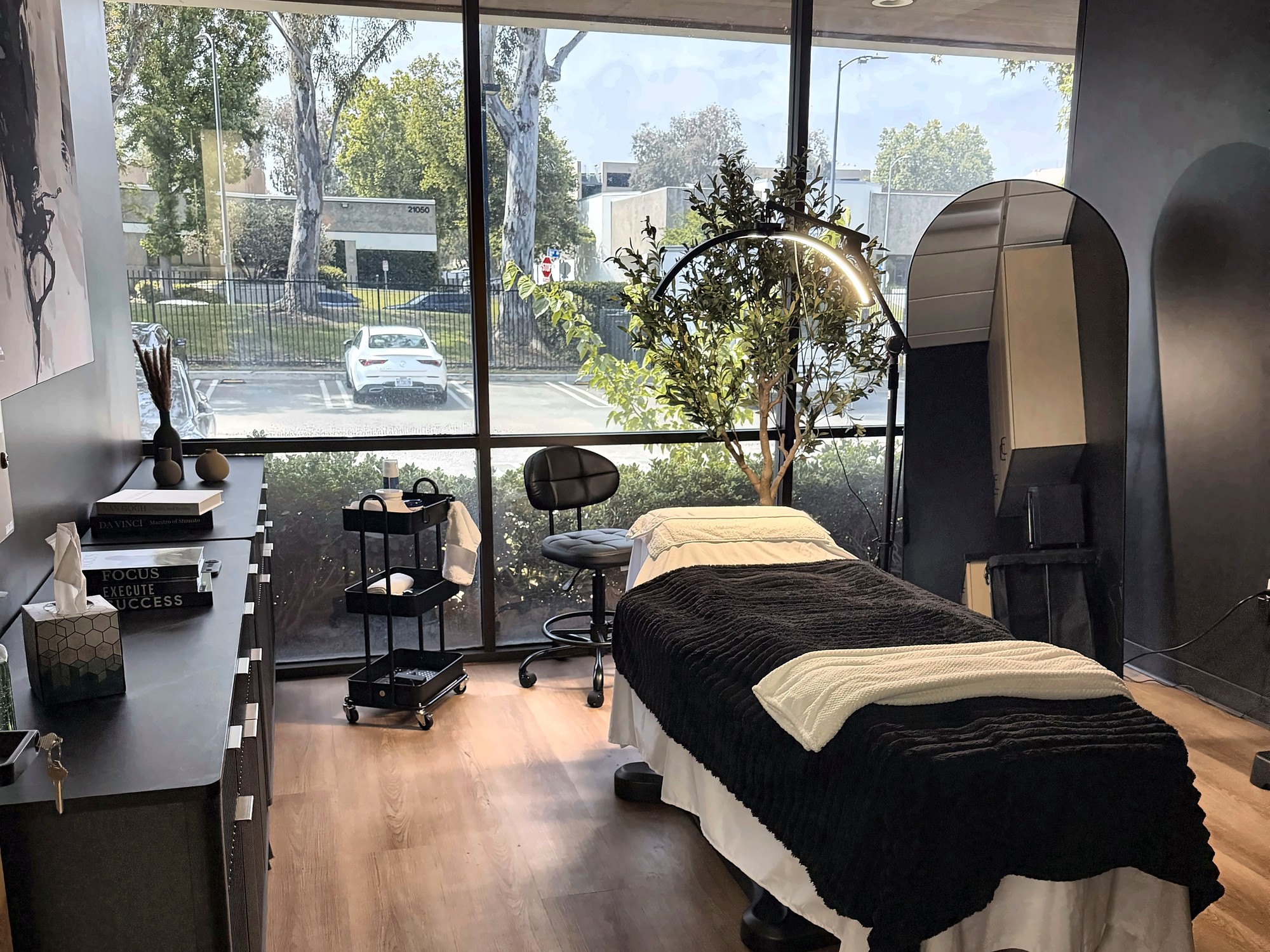 One of Wellth's private treatment suites, with natural light and an olive tree